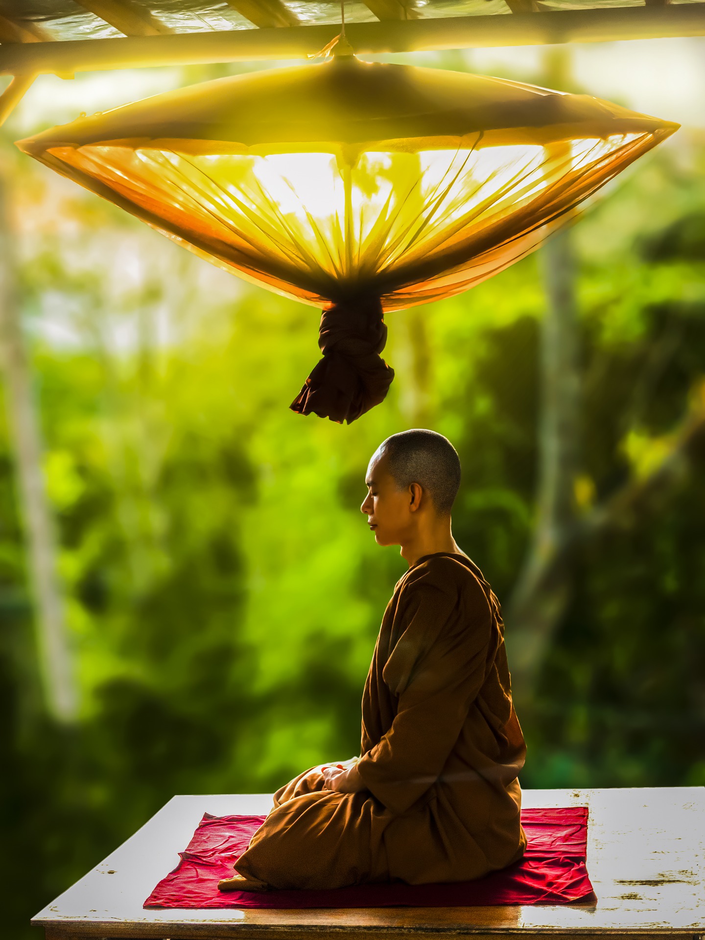 The Neuroscience of Meditation