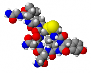 Feeling the Love [Hormone]: the Oxytocin Receptor