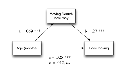 Mediating and Moderating Variables Explained