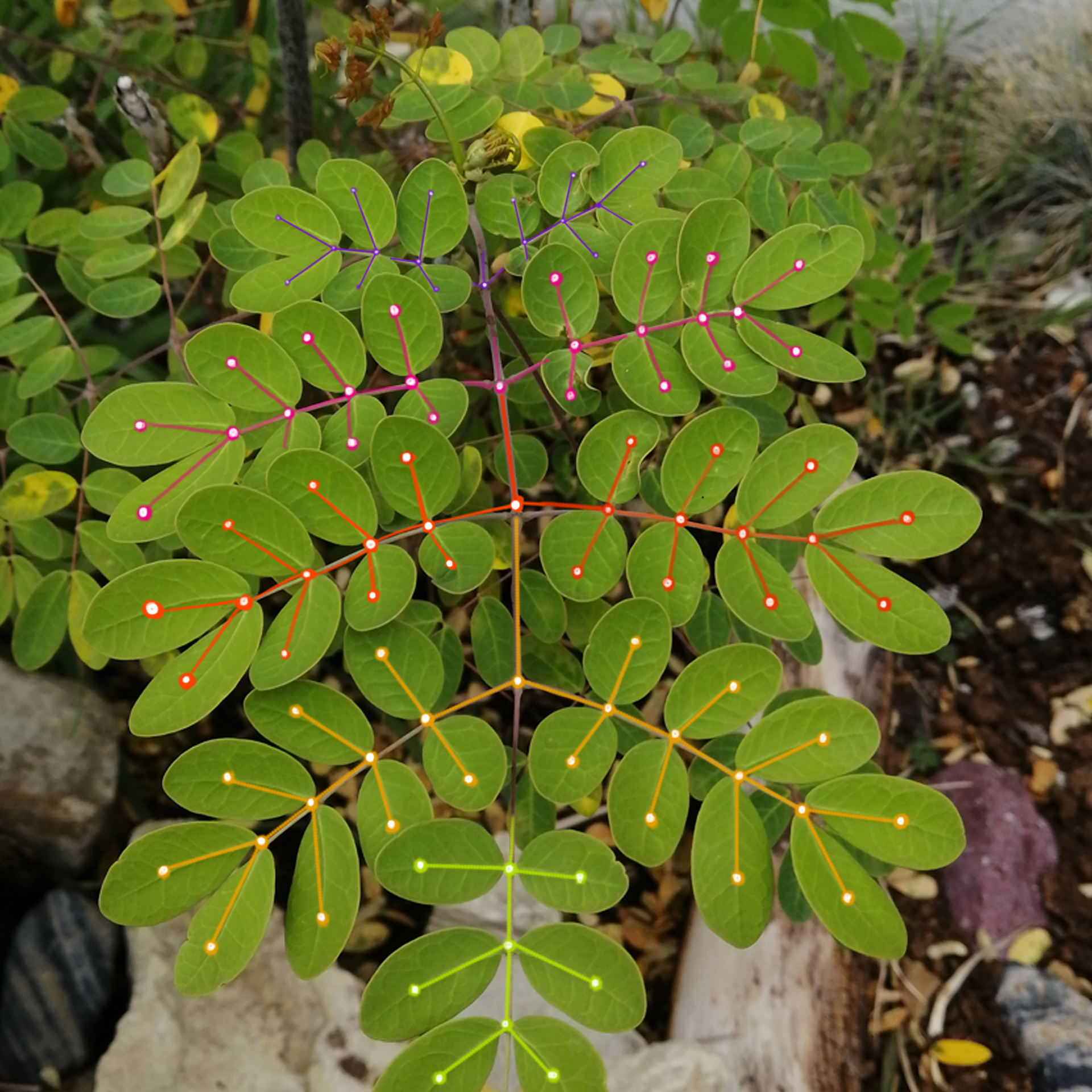 Choosing the Right Color Scale for Data Visualization