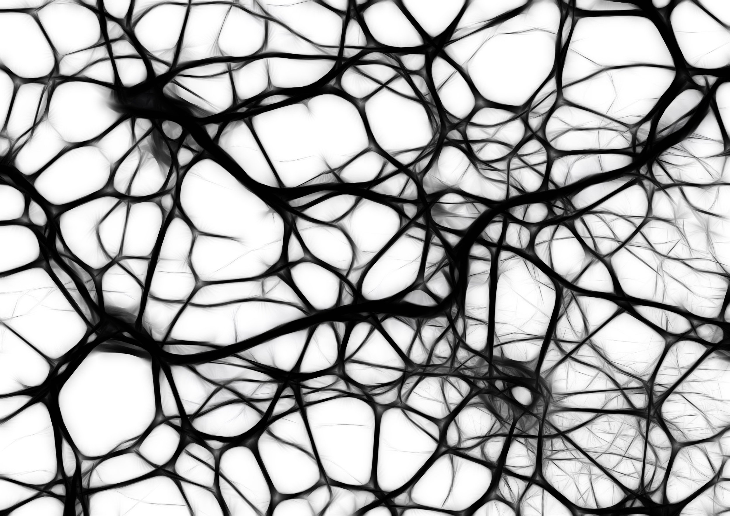 With age, the topology of our brains changes