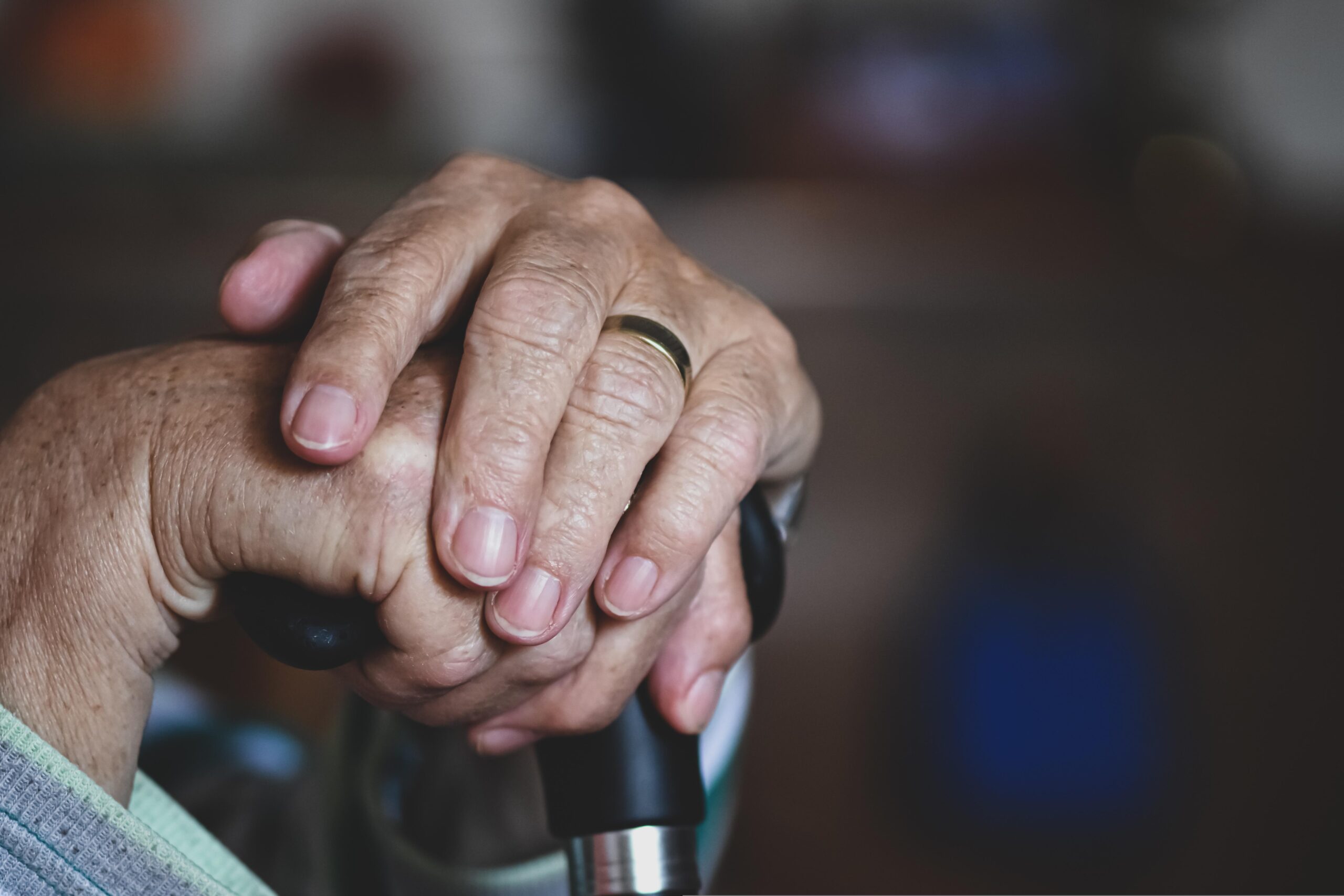A Life Worth Living: Animal Therapy as a Biological Antidote to the Plagues of Nursing Home Living